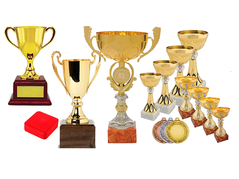 История спортивных наград.png