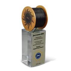 Приз «За наставничество»