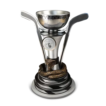 Кубок Гиппократа МП-41517