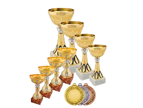 История спортивных наград